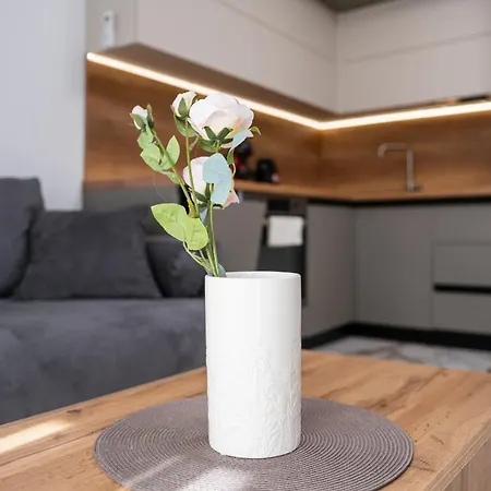 Modern 1-bedroom * Plovdiv
